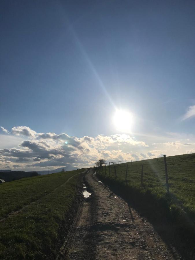 Willa Dalia Rabka Buitenkant foto