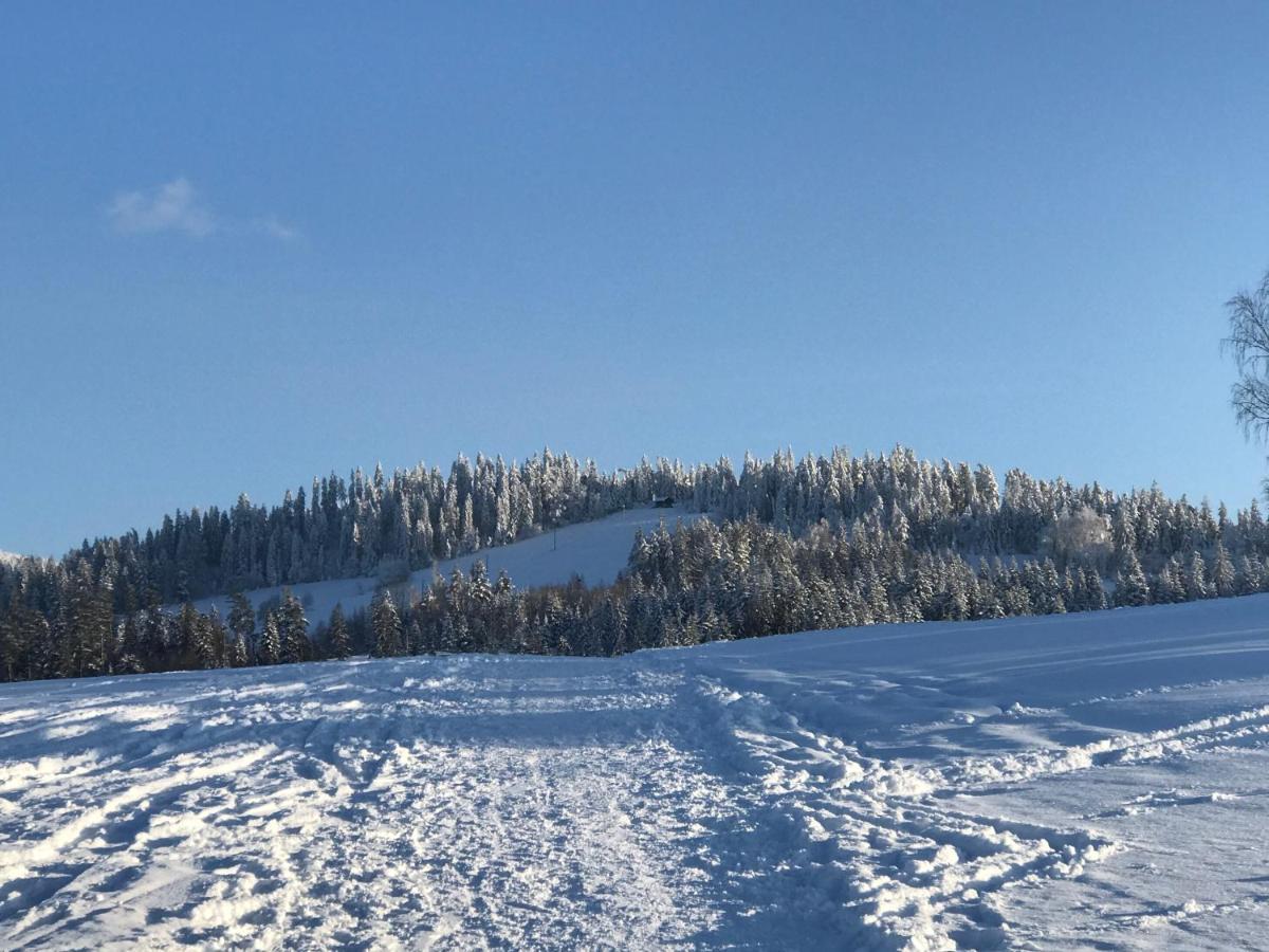 Willa Dalia Rabka Buitenkant foto